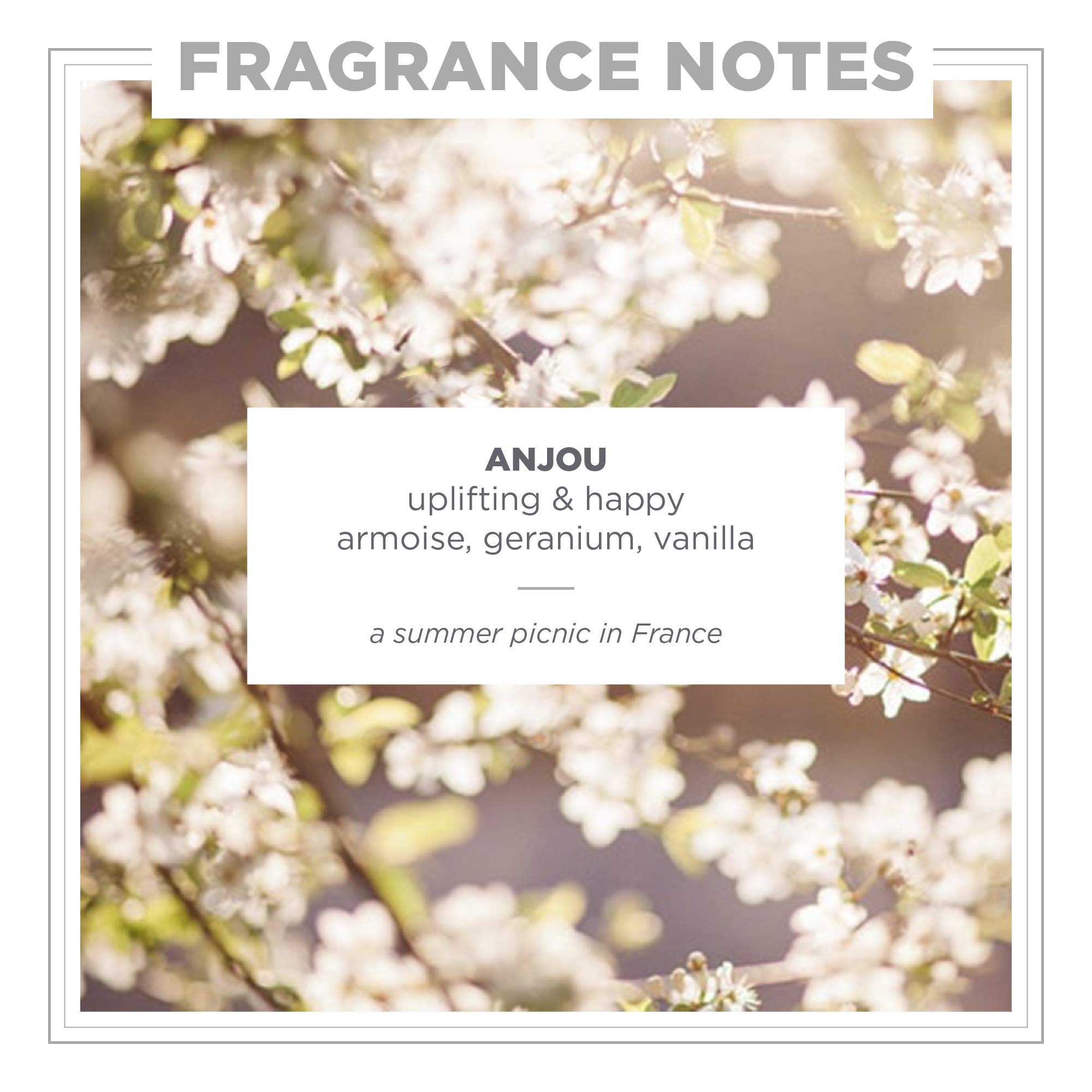 Foto 4 pulgar | Perfume Zents Attar Roll-On Anjou Clean Luxury 10 ml - Venta Internacional