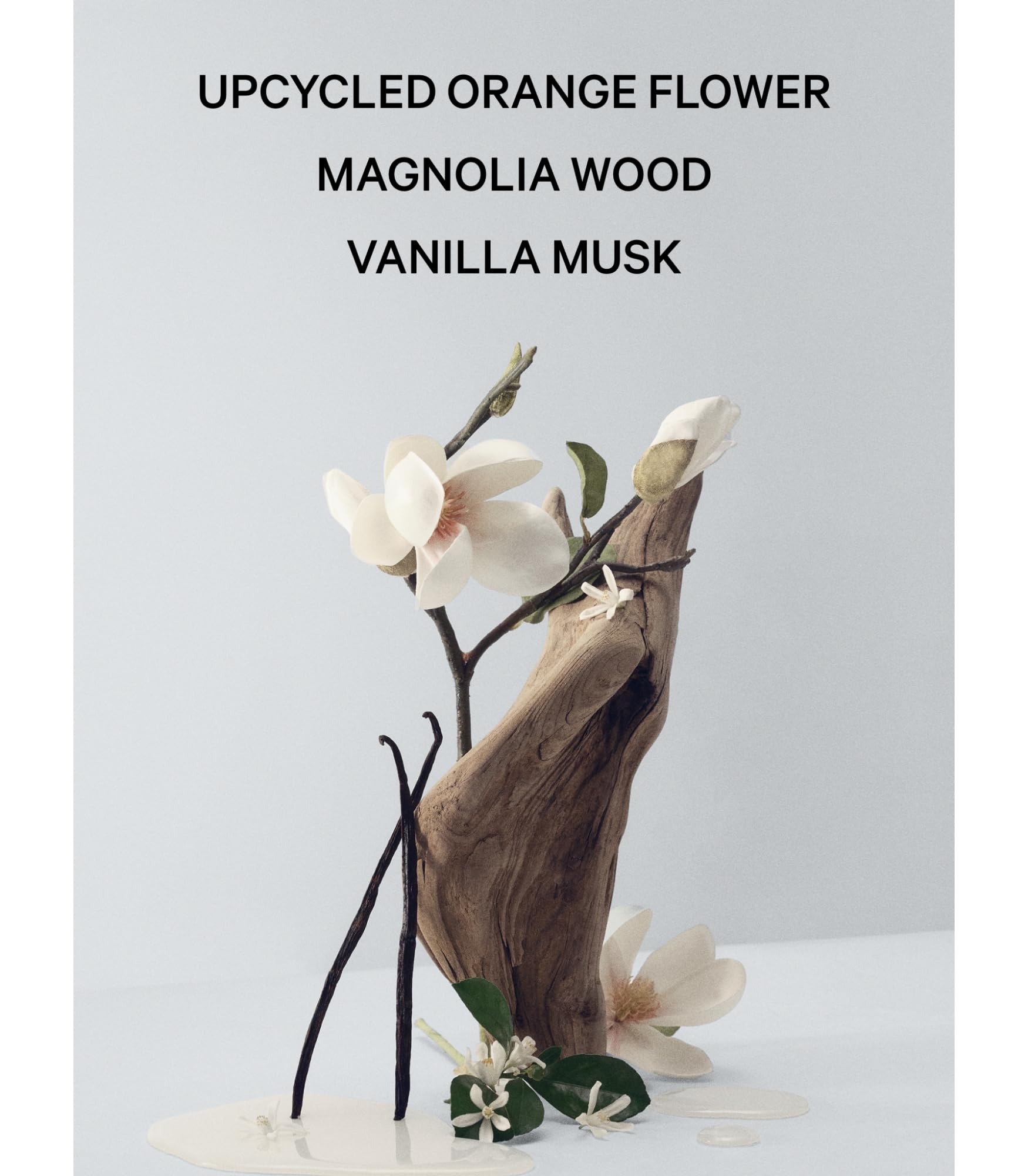 Foto 4 | Perfume Victoria's Secret Bare Magnolia Eau De Parfum, 100 Ml - Venta Internacional.