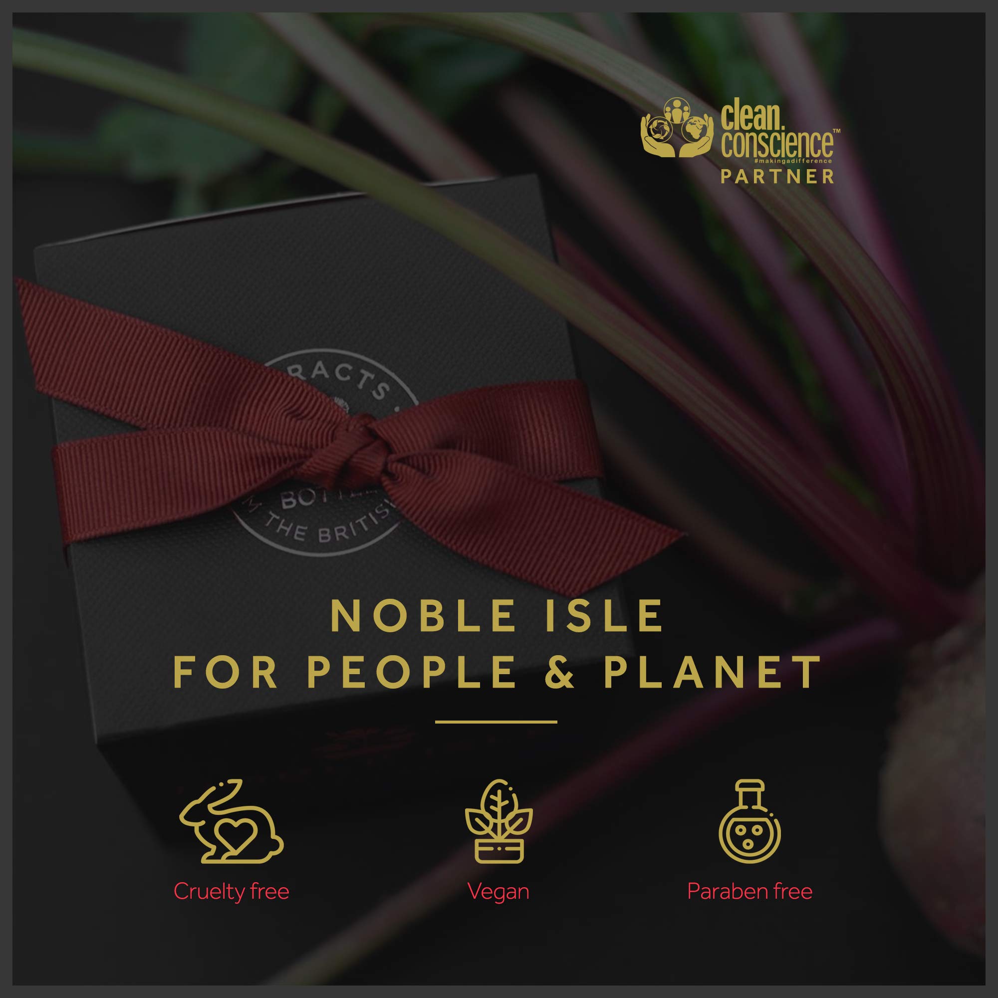 Foto 6 | Loción Corporal Noble Isle Fireside Luxury 250 ml - Venta Internacional