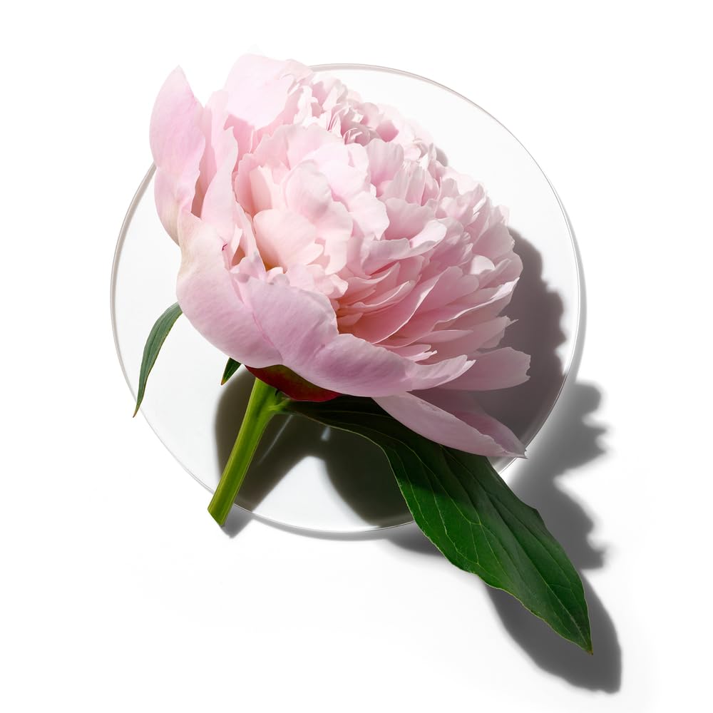 Foto 6 | Perfume Clinique My Happy Peony Pícnic Para Mujer 100 Ml - Venta Internacional