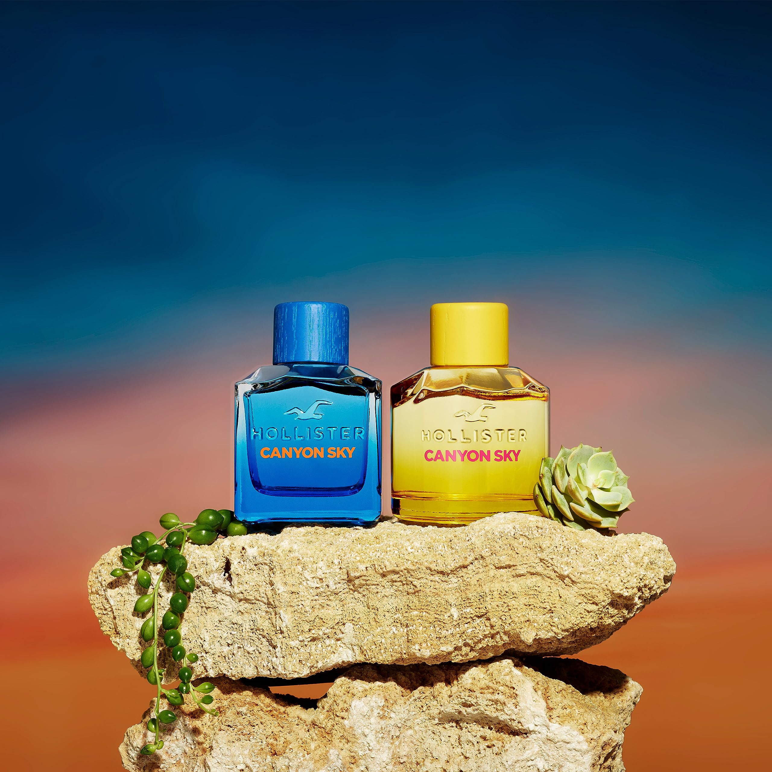 Foto 5 pulgar | Perfume Hollister Canyon Sky For Her Eau De Parfum, 100 Ml - Venta Internacional.