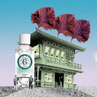 Foto 4 | Spray Corporal Con Agua Aromática Roger & Gallet Shiso 100 Ml Para Mujer - Venta Internacional.