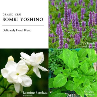 Foto 5 | Perfume Berdoues Eau De Parfum Somei Yoshino, 100 Ml, Para Mujer - Venta Internacional.