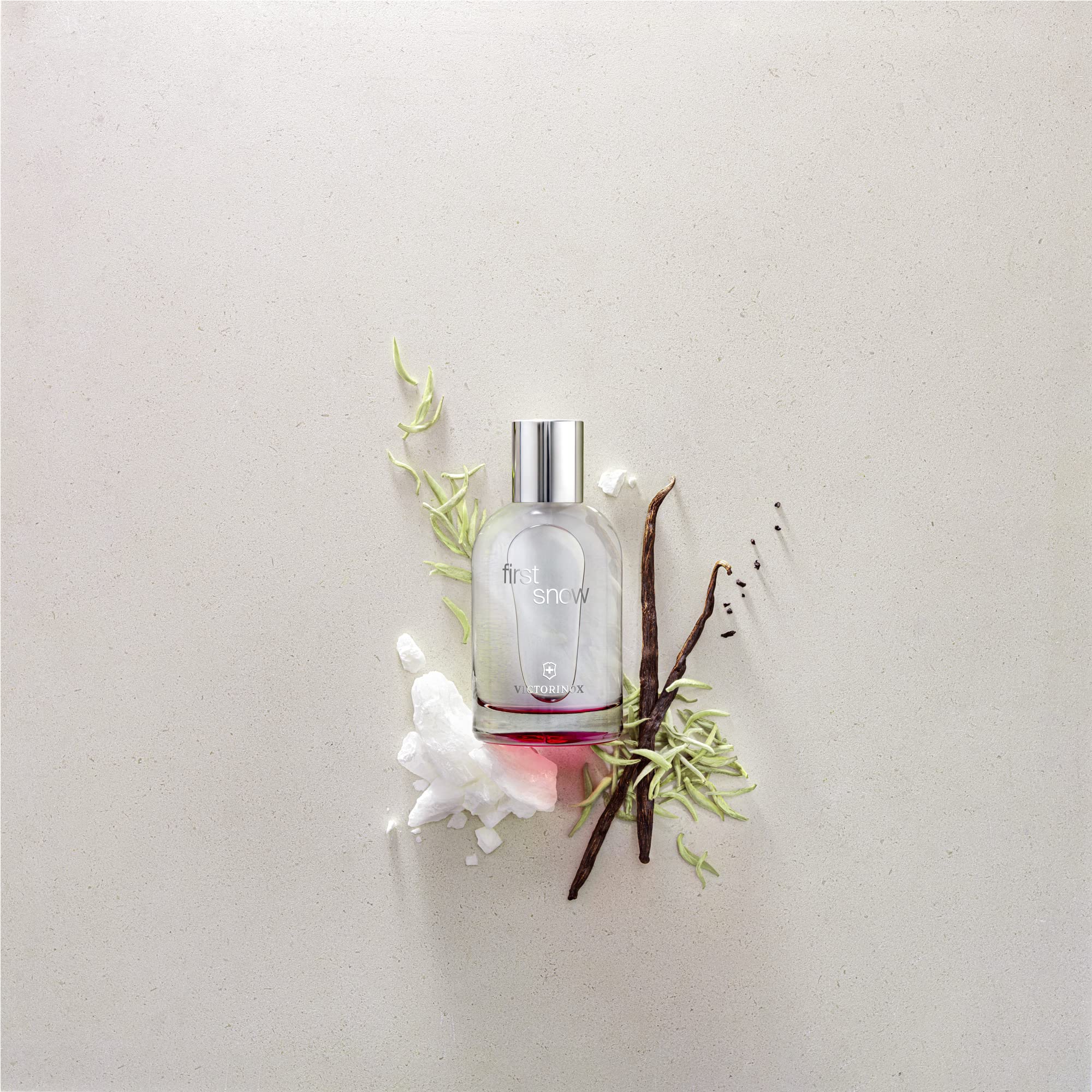 Foto 7 pulgar | Perfume Victorinox First Snow Eau De Toilette 100 ml para Mujer - Venta Internacional