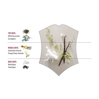 Foto 7 | Perfume Victorinox First Snow Eau De Toilette 100 ml para Mujer - Venta Internacional