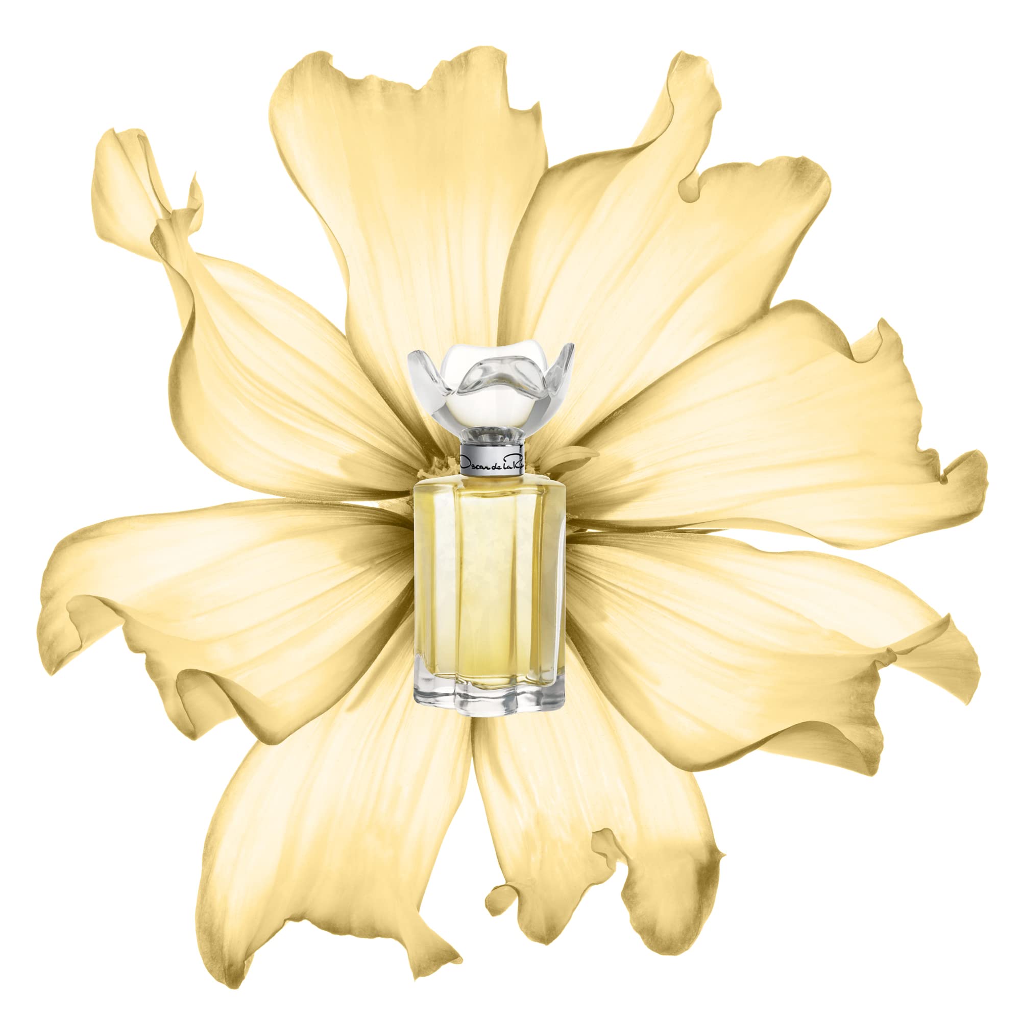 Foto 2 | Perfume Oscar De La Renta Esprit D'oscar Eau De Parfum 100 Ml - Venta Internacional.