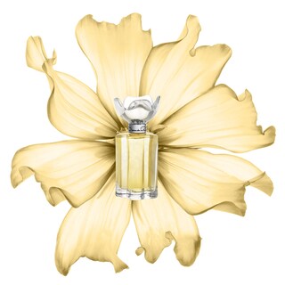 Foto 2 | Perfume Oscar De La Renta Esprit D'oscar Eau De Parfum 100 Ml - Venta Internacional.