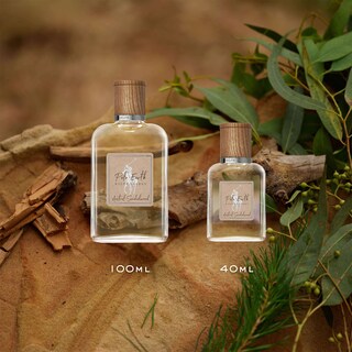 Foto 3 | Perfume Ralph Lauren Fragrances Polo Earth Eau De Parfum 40 Ml - Venta Internacional.