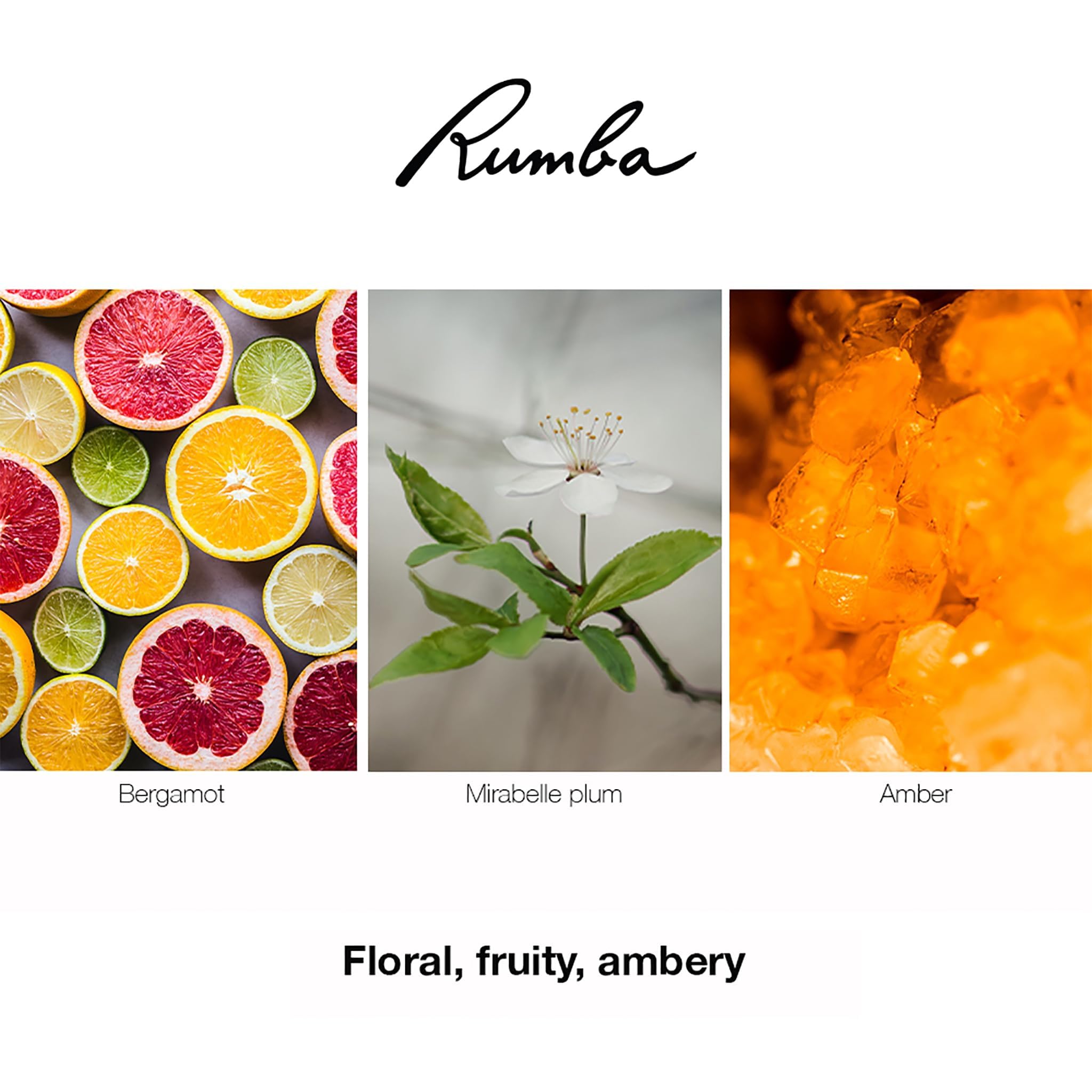 Foto 6 pulgar | Perfume Balenciaga Rumba Eau De Toilette 100 Ml Para Mujer - Venta Internacional.