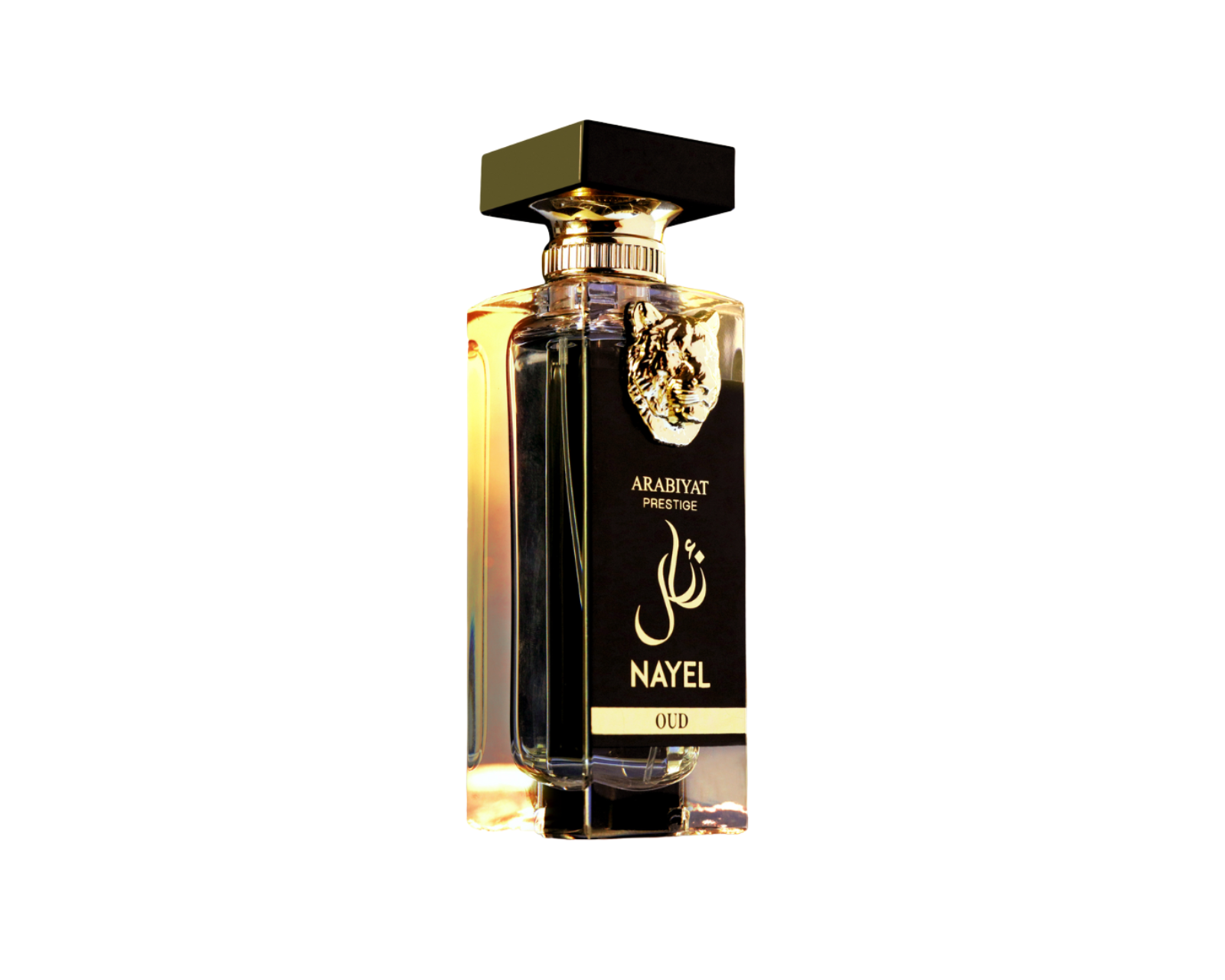 Foto 2 pulgar | Perfume Nayel Oud Chipre Unisex 100 ml