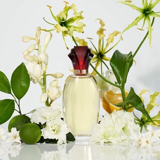 Foto 4 | Perfume Paul Sebastian Design 100 Ml - Venta Internacional