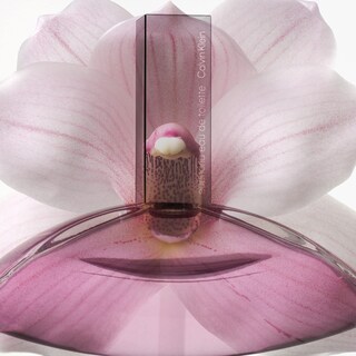 Foto 3 | Perfume Calvin Klein Euphoria Eau De Toilette Para Mujer, 100 Ml - Venta Internacional.