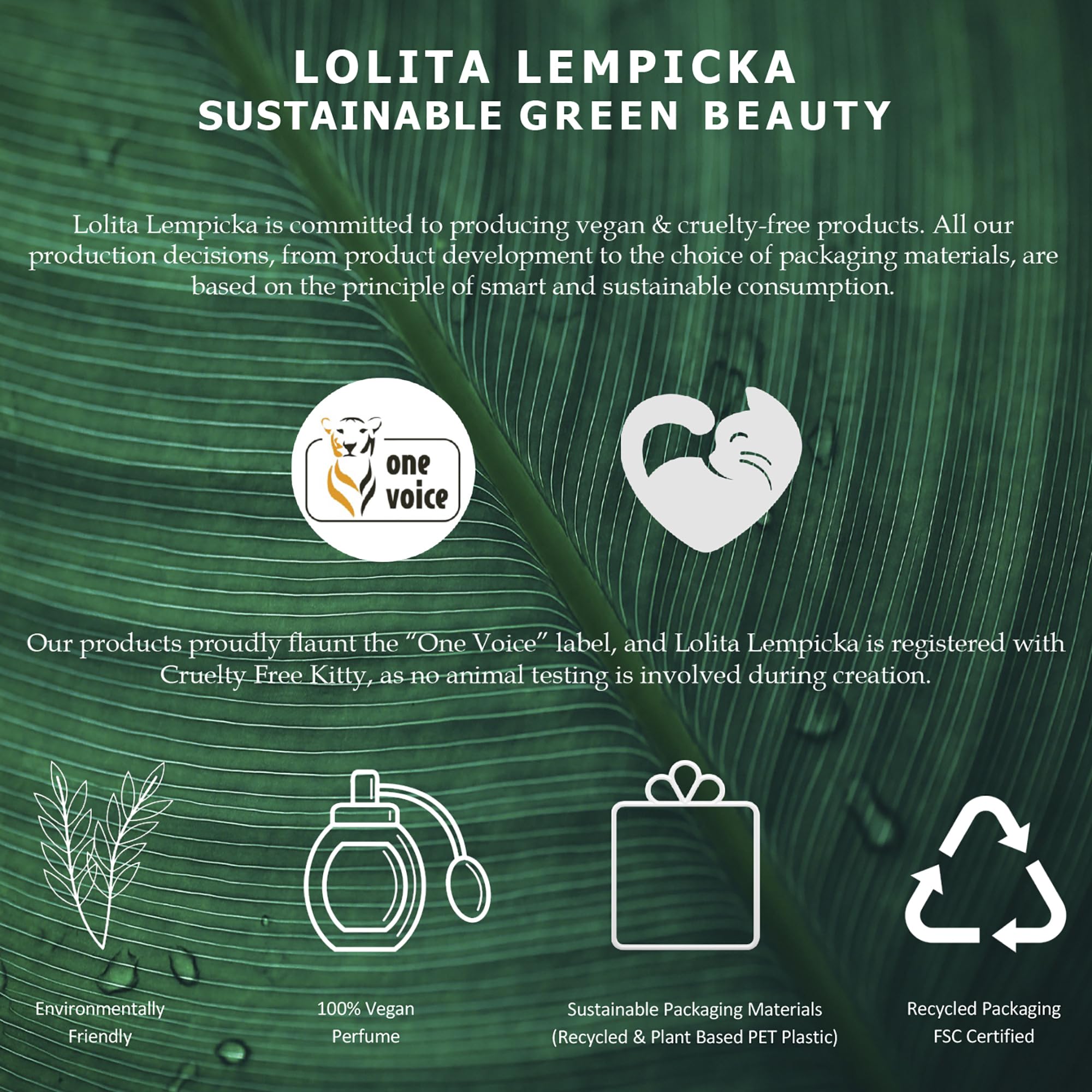 Foto 7 pulgar | Perfume Lolita Lempicka Mon Premier Eau de Parfum 30 ml - Venta Internacional