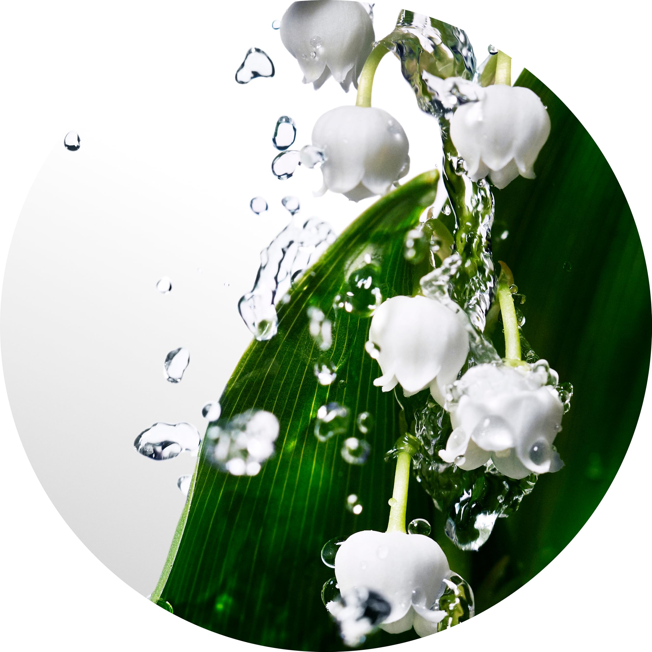 Foto 7 pulgar | Perfume Davidoff Cool Water Woman Eau De Toilette 30 Ml - Venta Internacional.
