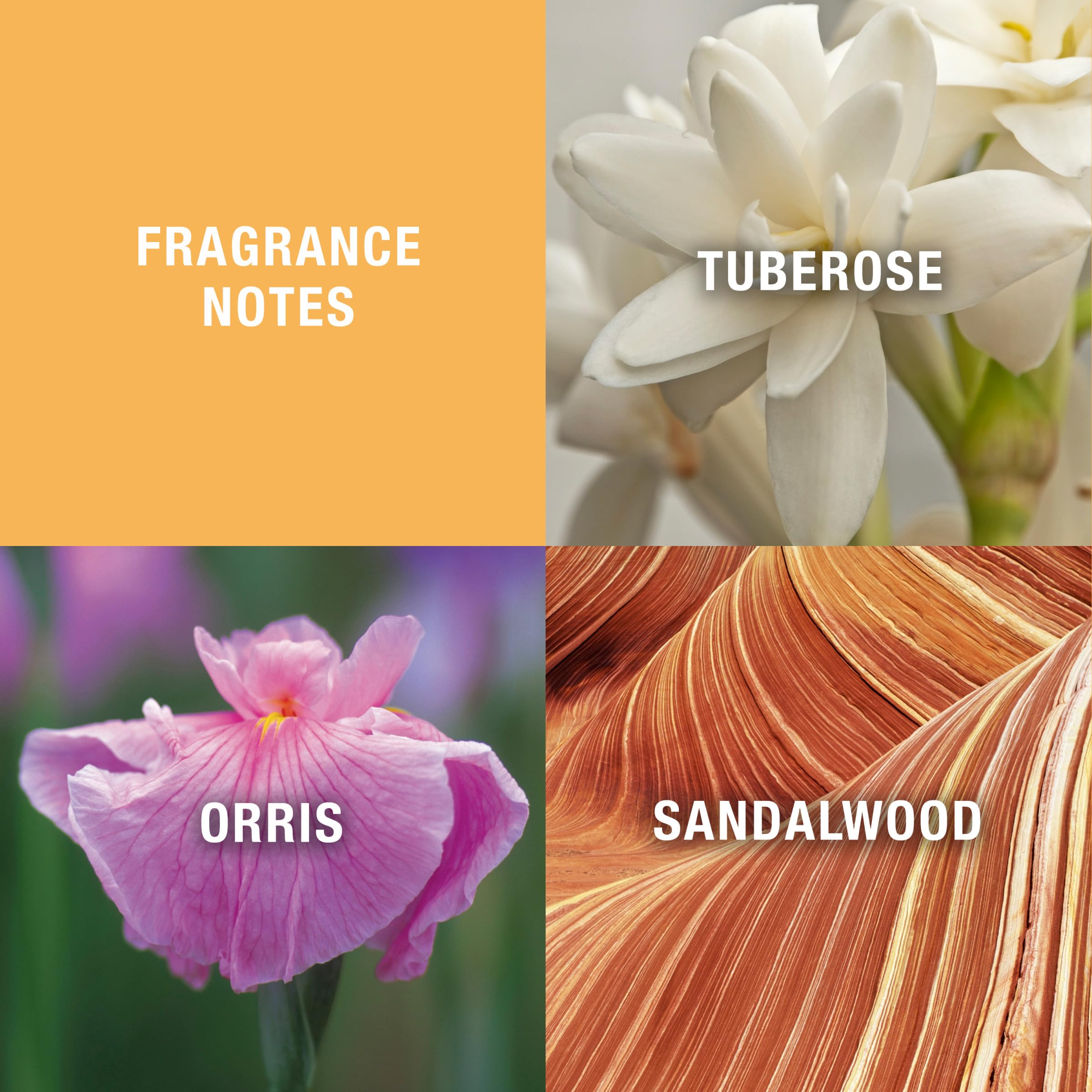 Foto 4 pulgar | Perfume De Baño En Polvo Evyan White Shoulders Para Mujer 75 Ml - Venta Internacional.