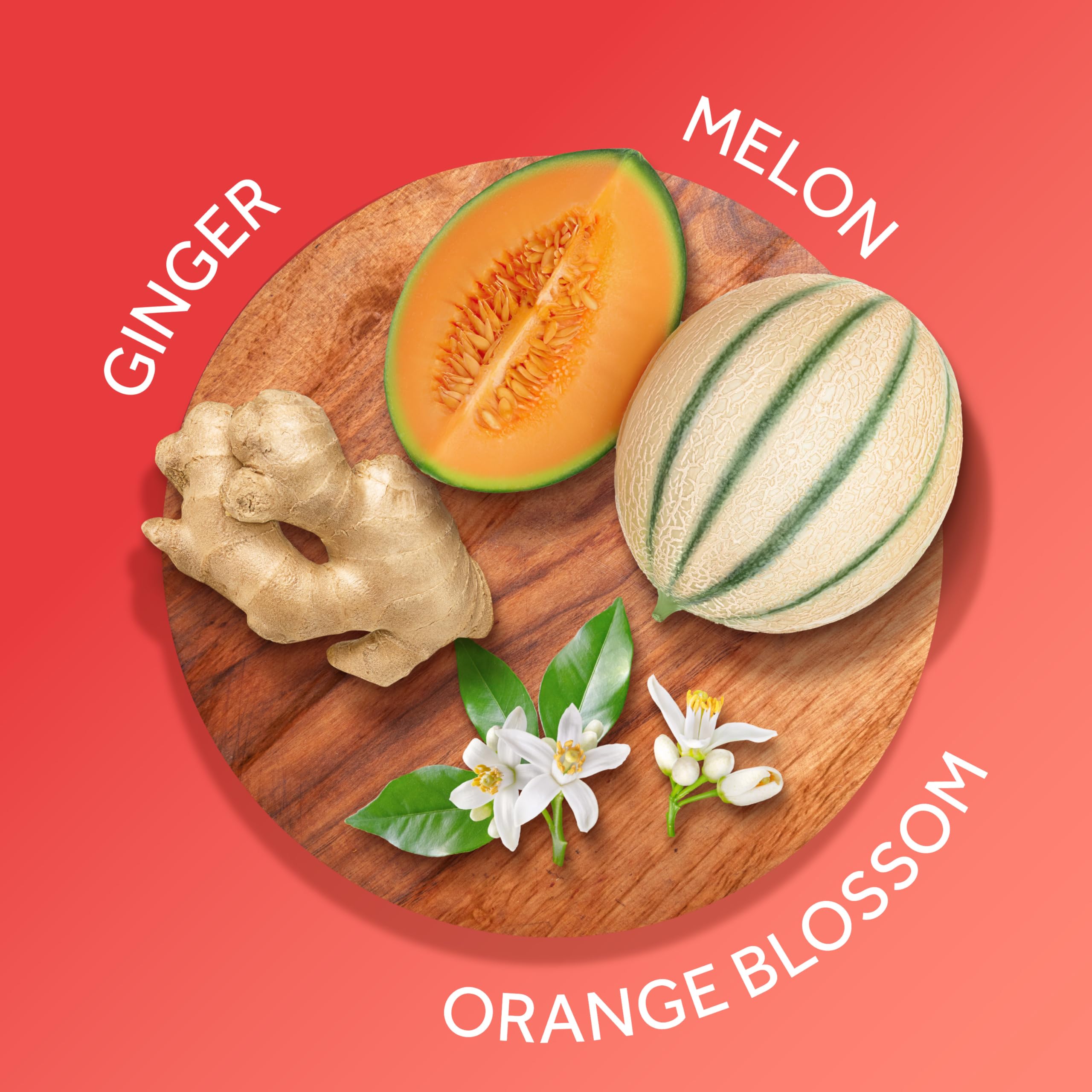 Foto 3 pulgar | Bruma Corporal Con Fragancia Calgon Hawaiian Ginger 240 Ml - Venta Internacional.