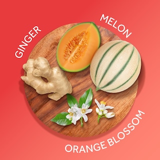 Foto 2 | Bruma Corporal Con Fragancia Calgon Hawaiian Ginger 240 Ml - Venta Internacional.