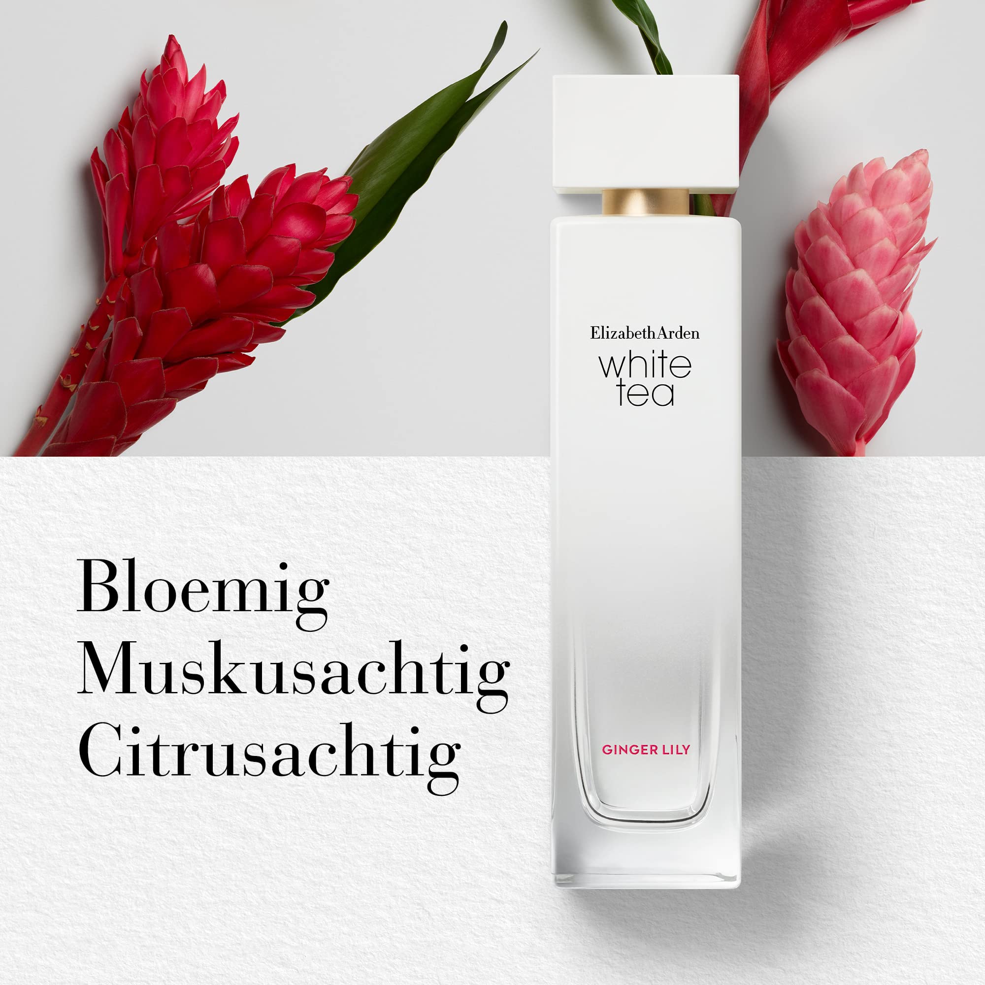 Foto 3 pulgar | Perfume Elizabeth Arden White Tea Eau De Toilette, 50 Ml, Para W - Venta Internacional.
