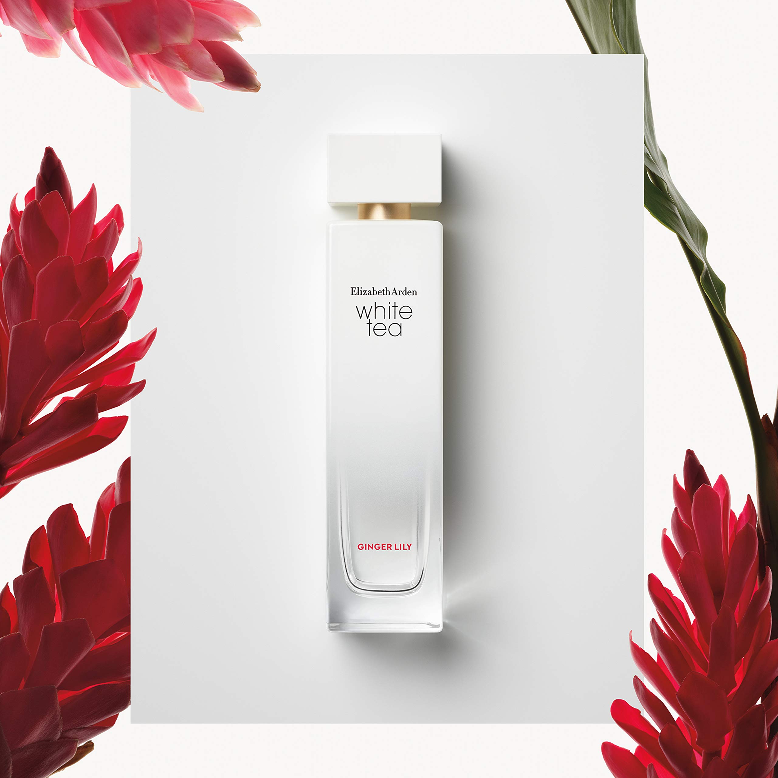 Foto 5 pulgar | Perfume Elizabeth Arden White Tea Eau De Toilette, 50 Ml, Para W - Venta Internacional.