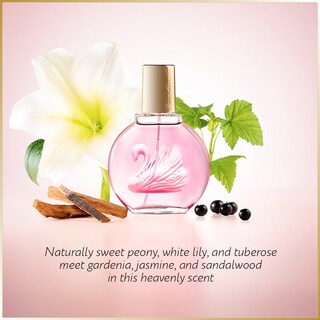 Foto 3 | Perfume Gloria Vanderbilt Minuit À New York Eau De Parfum, 100 Ml - Venta Internacional.