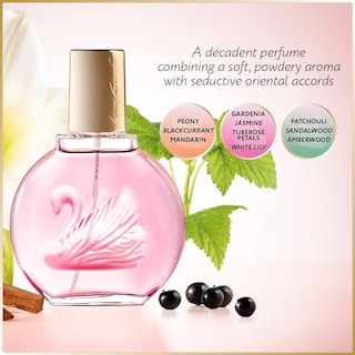 Foto 4 | Perfume Gloria Vanderbilt Minuit À New York Eau De Parfum, 100 Ml - Venta Internacional.