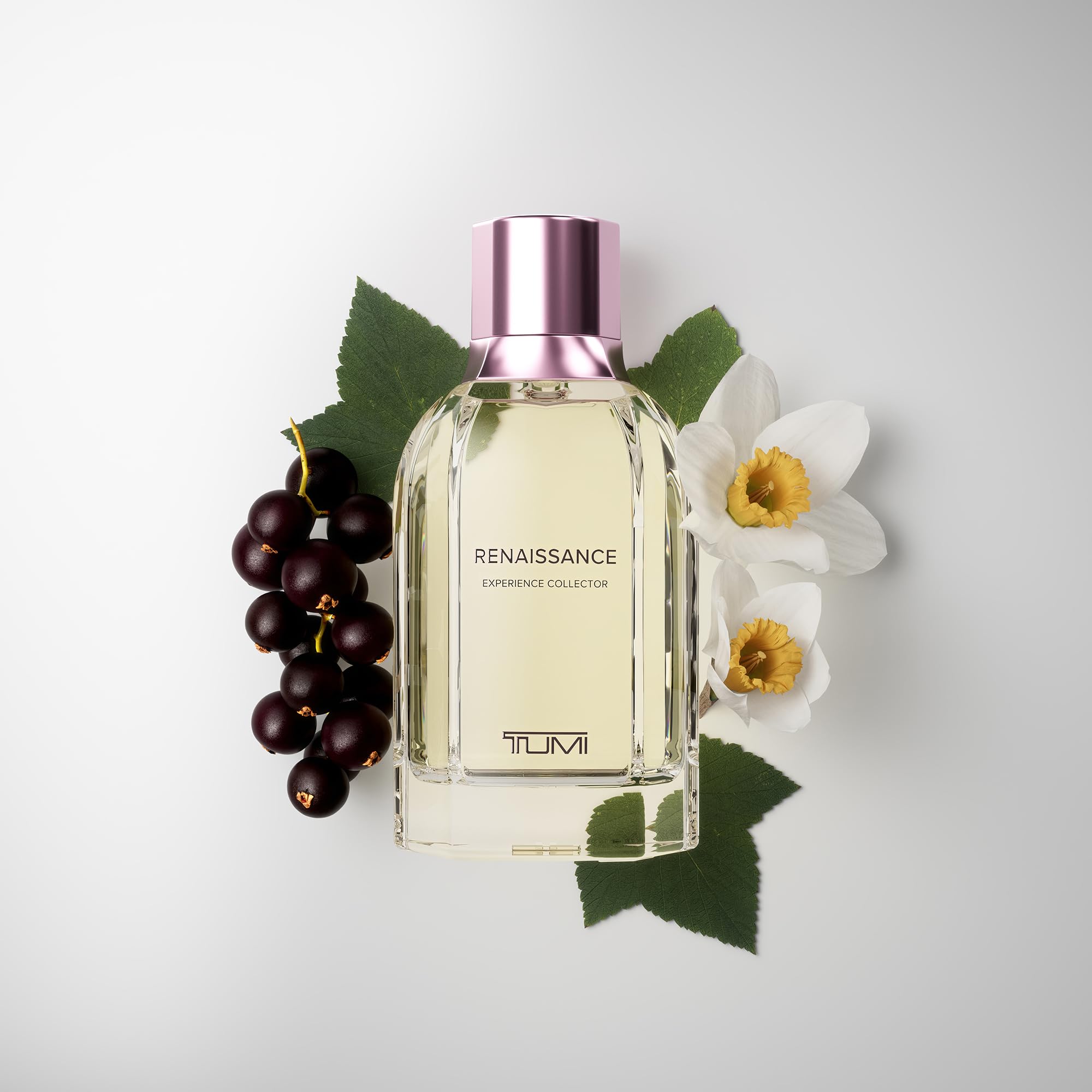 Foto 4 pulgar | Colector De Perfumes Tumi Renaissance Experience 100 Ml - Venta Internacional.