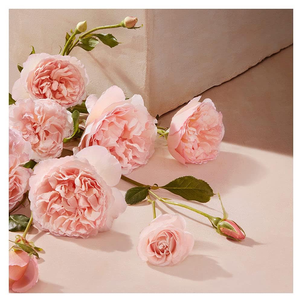 Foto 7 | Perfume Chloe Chloe Leau Eau de Toieltte 100 ml-Venta Internacional