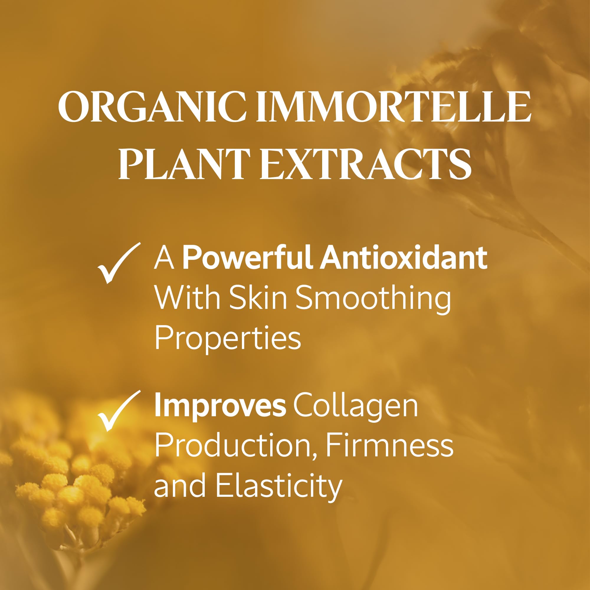 Foto 8 pulgar | Crema Hidratante L'occitane Immortelle Divine 50ml - Venta Internacional.