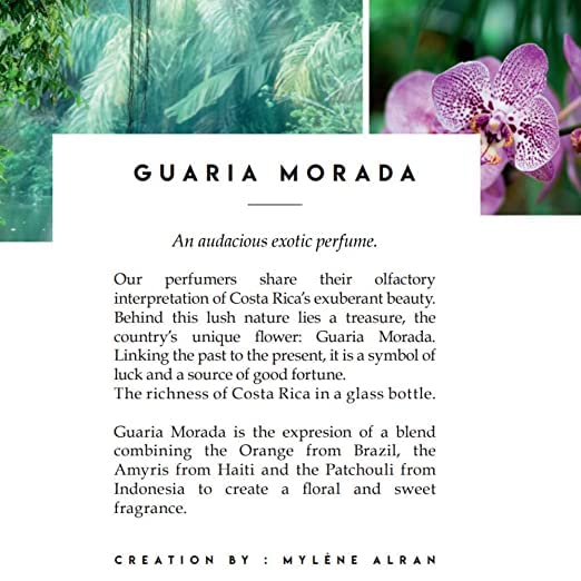 Foto 3 pulgar | Perfume Berdoues Grands Crus Guaria Morada, Eau De Parfum, 100 Ml - Venta Internacional.