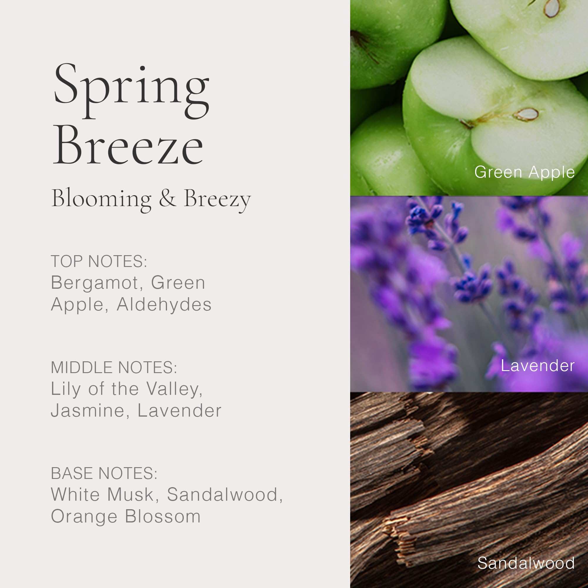 Foto 3 | Perfume Clean Classic Spring Breeze 60 Ml - Venta Internacional.