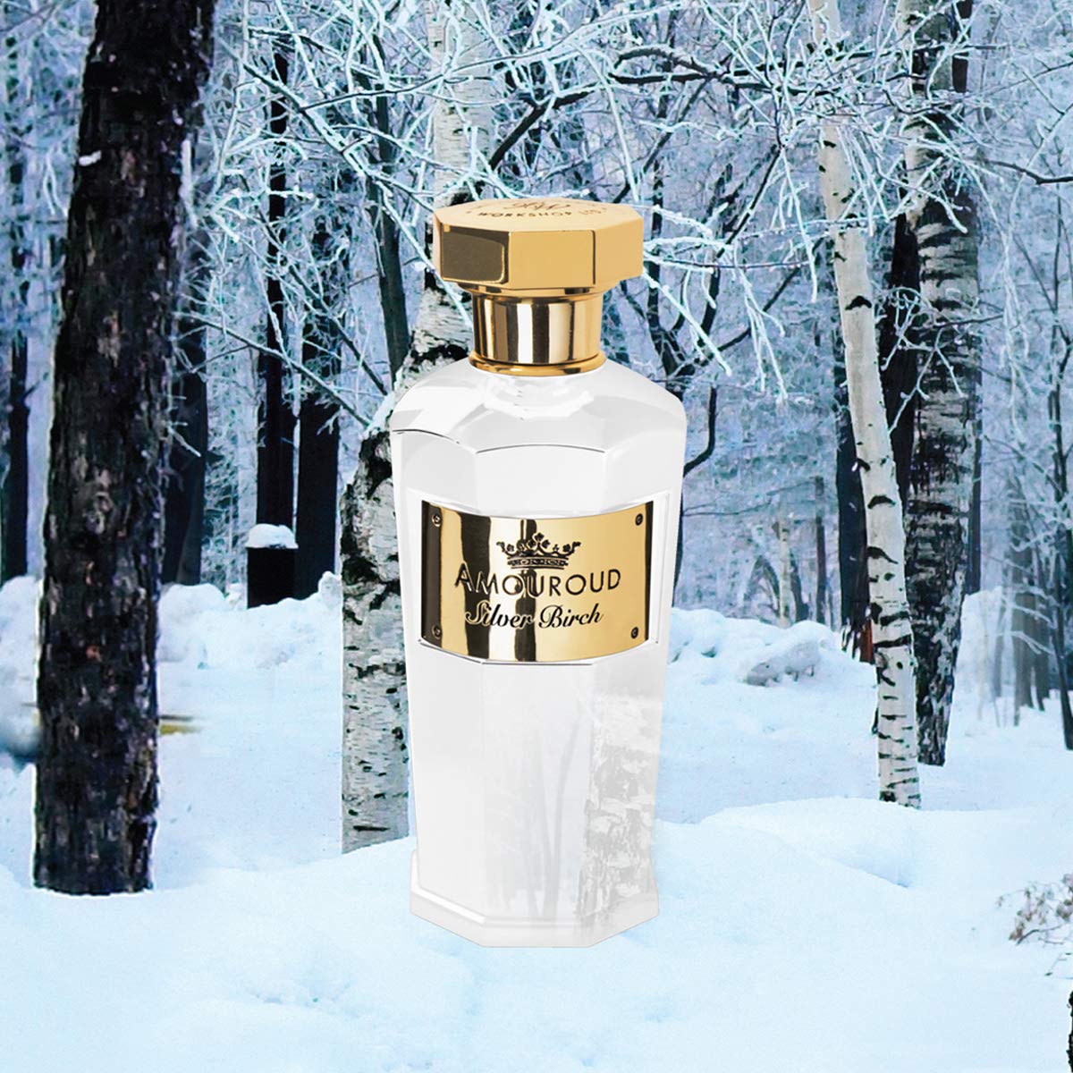 Foto 4 pulgar | Perfume Amouroud Silver Birch Eau De Parfum Para Hombre, 100 Ml - Venta Internacional.