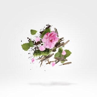 Foto 5 | Perfume Xerjoff Xjk Jābir, 50 Ml, Floral Y Aromático, Para Unisex - Venta Internacional.
