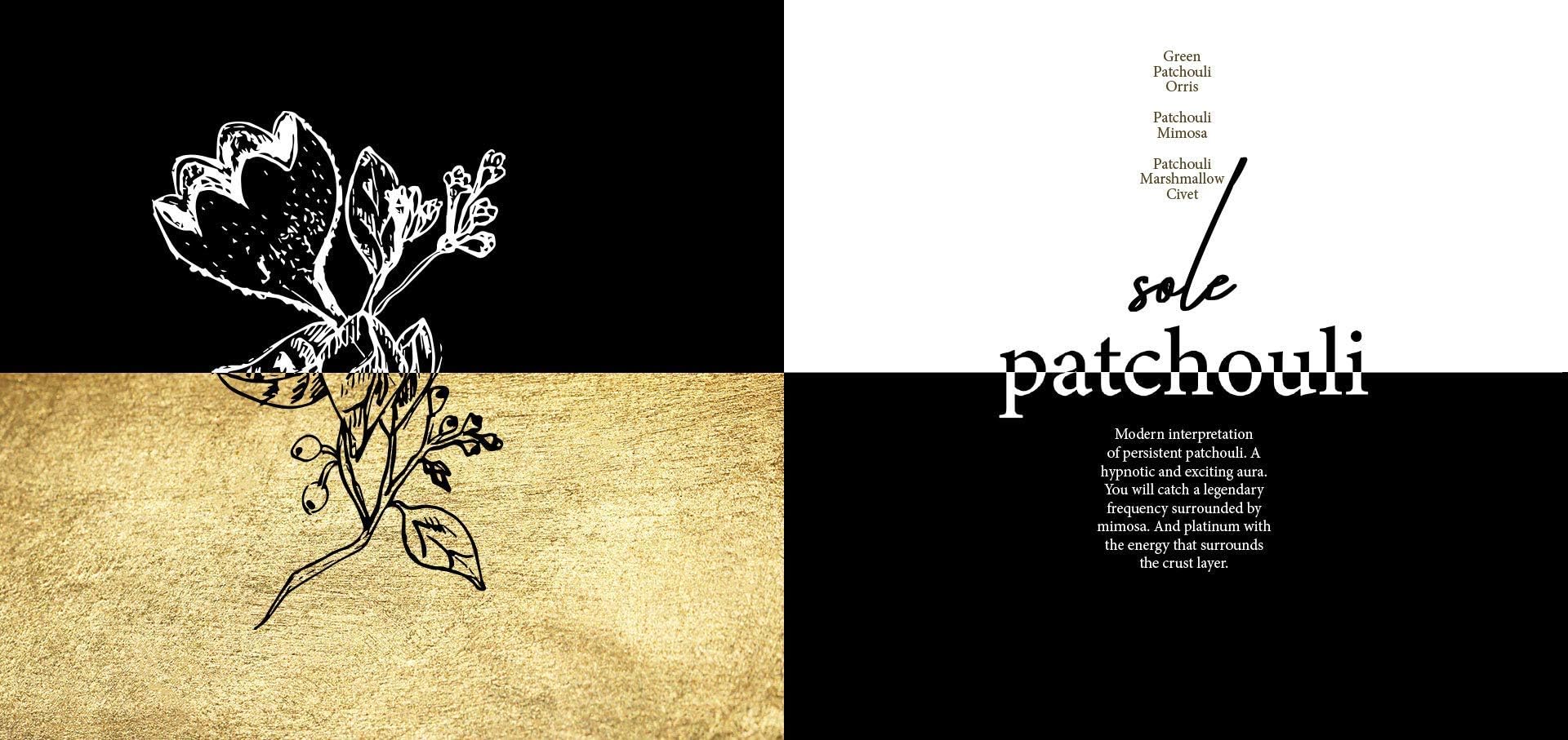Foto 5 pulgar | Perfume Vertus Sole Patchouli Paris Eau Du Parfum, 100 Ml - Venta Internacional.