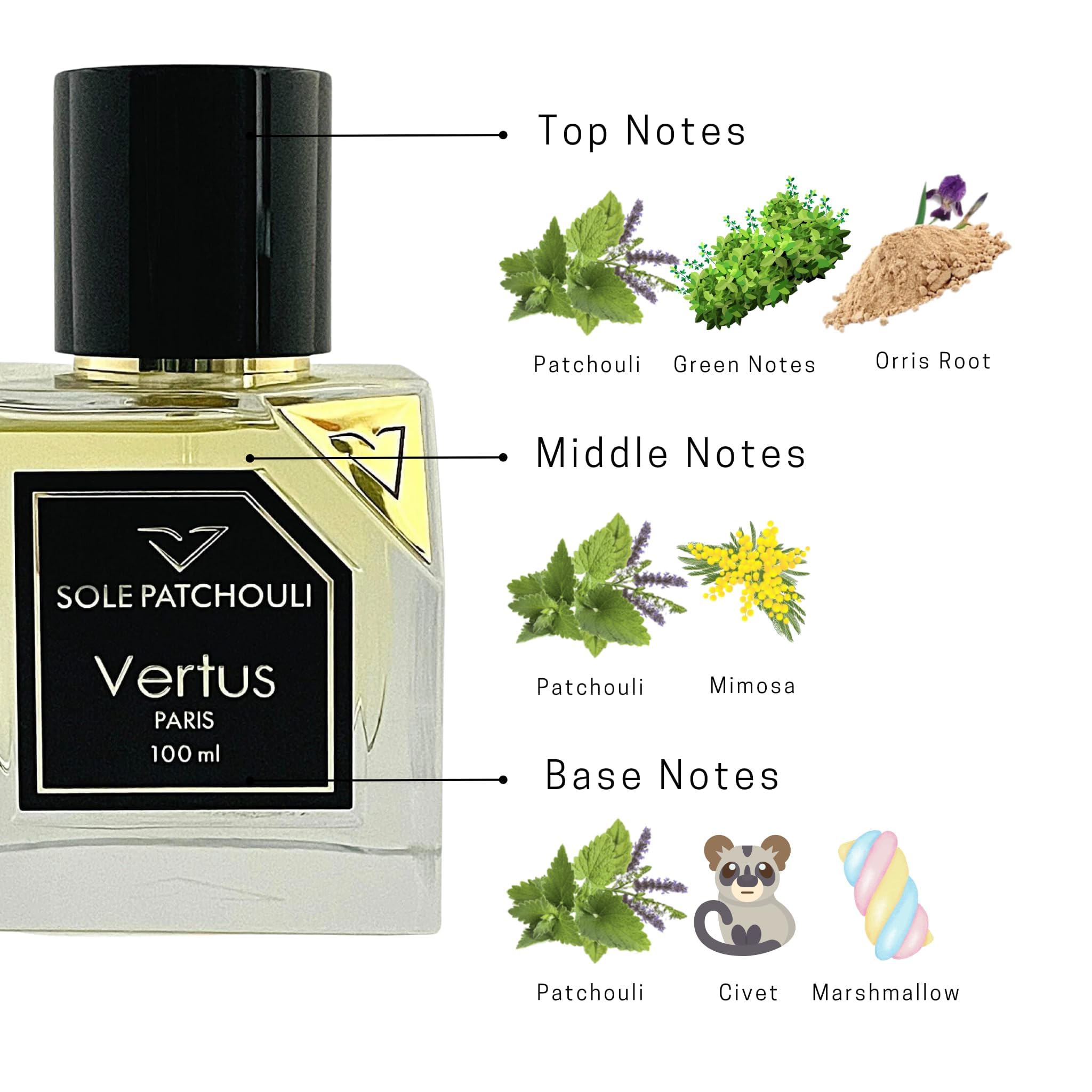 Foto 5 | Perfume Vertus Sole Patchouli Paris Eau Du Parfum, 100 Ml - Venta Internacional.