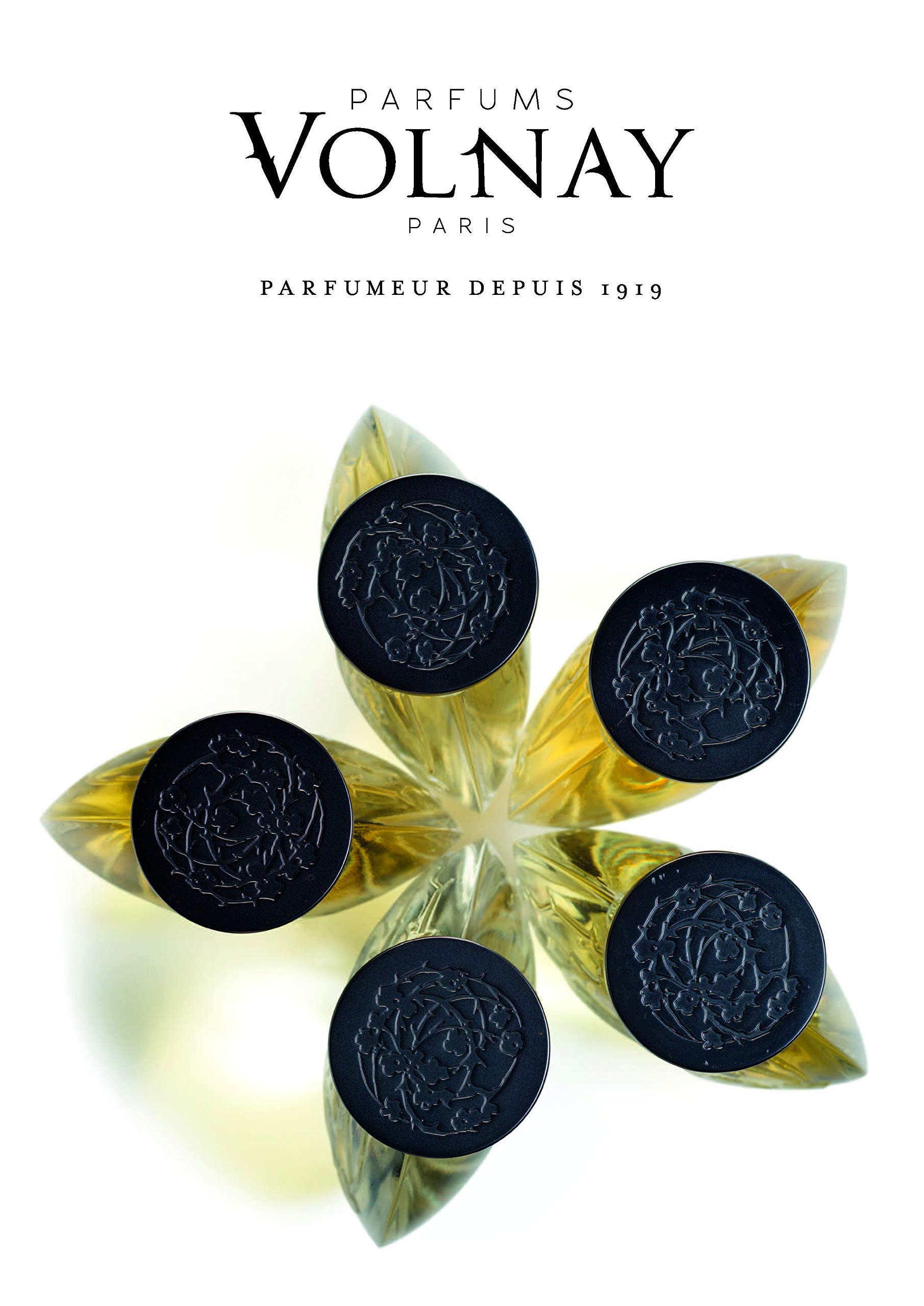 Foto 6 pulgar | Perfume Volnay Etoile D'or Eau De Parfum 100 Ml Para Mujer - Venta Internacional.