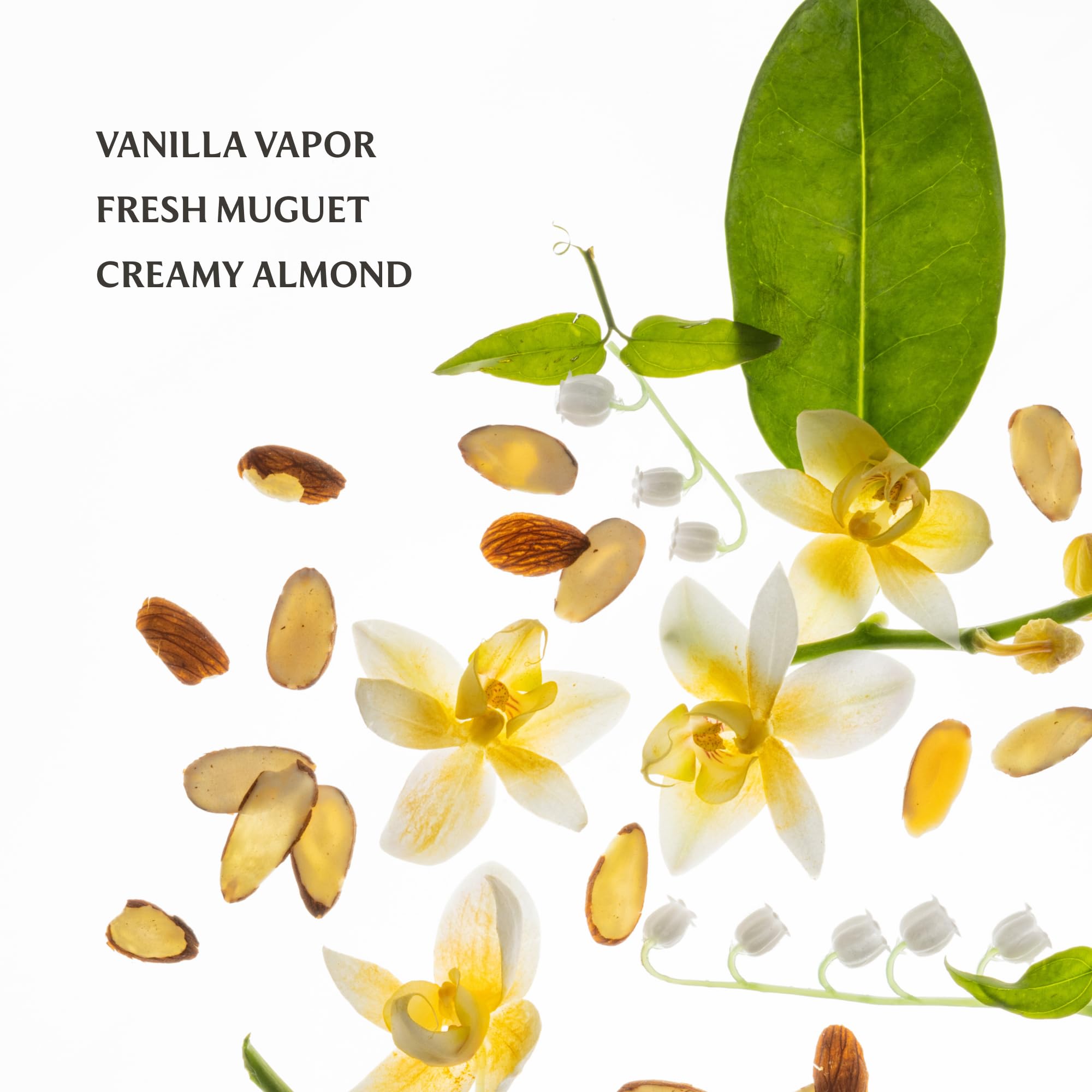 Foto 5 pulgar | Fragancia Para Cuerpo Y Cabello Touchland Power Essence Vanilla 60 Ml - Venta Internacional.