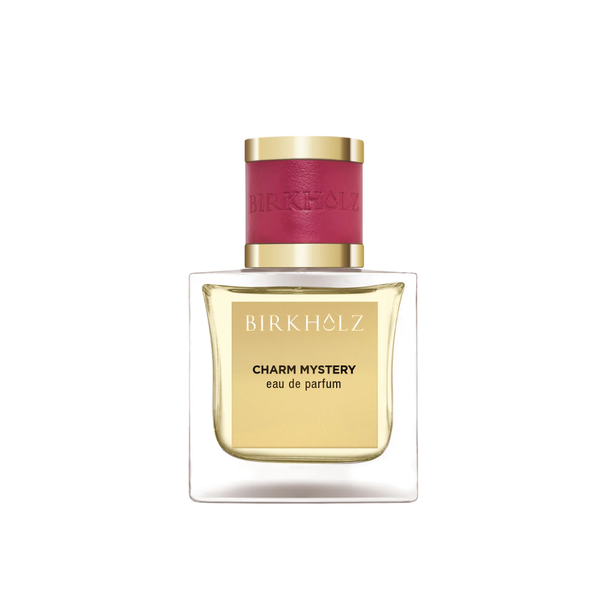 Foto 2 pulgar | Perfume Birkholz Charm Mystery Extrait De Parfum 100ml - Venta Internacional.