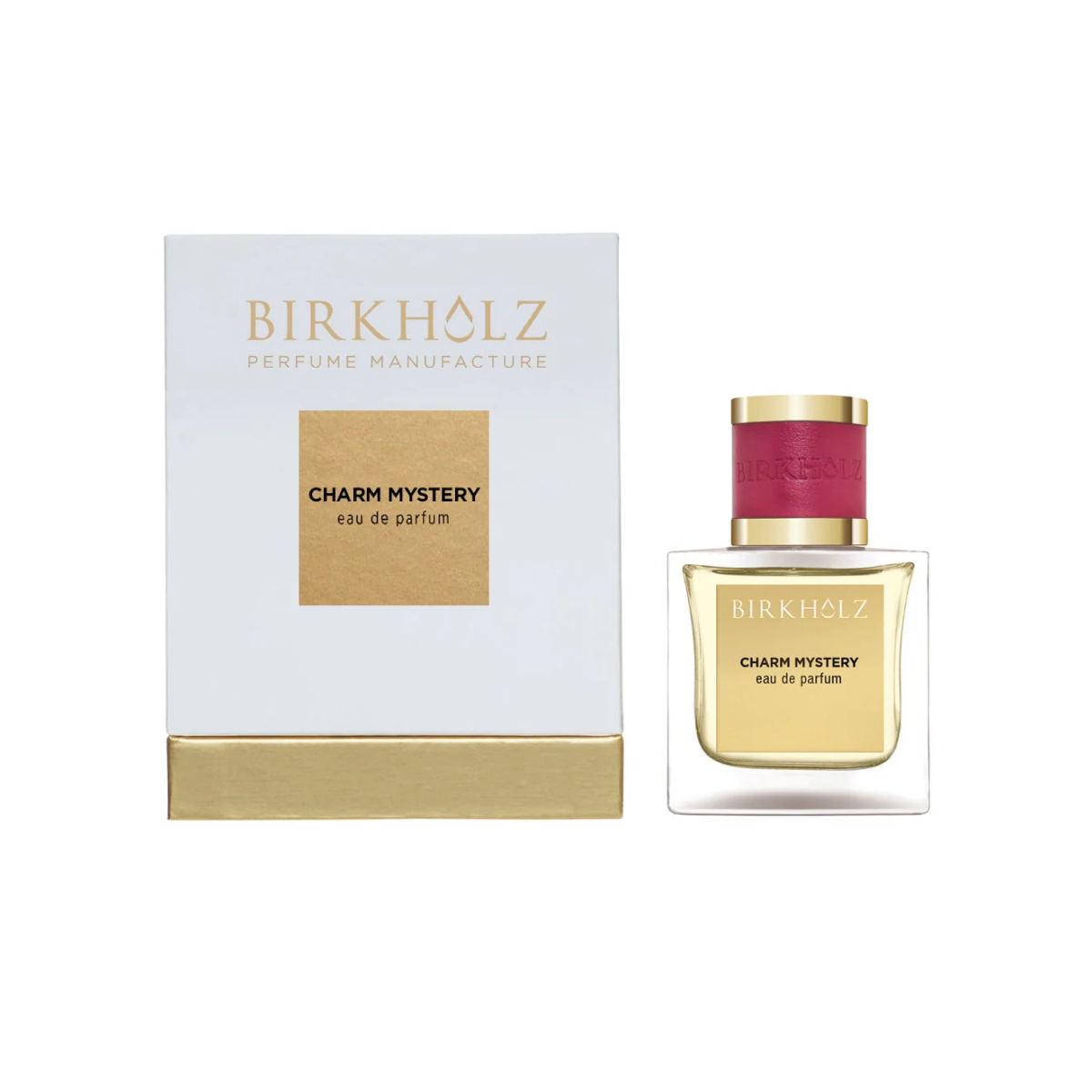 Foto 2 | Perfume Birkholz Charm Mystery Extrait De Parfum 100ml - Venta Internacional.