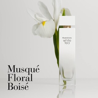 Foto 2 | Set De Perfume Elizabeth Arden White Tea Eau De Toilette De 100 Ml - Venta Internacional.