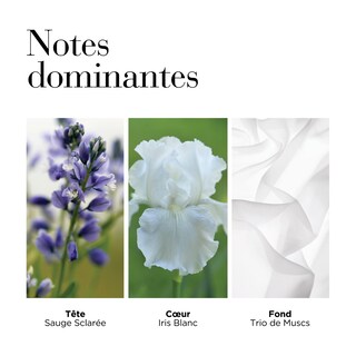 Foto 3 | Set De Perfume Elizabeth Arden White Tea Eau De Toilette De 100 Ml - Venta Internacional.