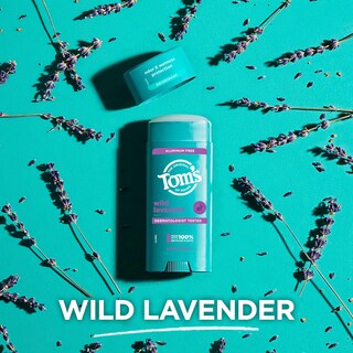 Foto 5 | Desodorante Tom's Of Maine Wild Lavender 96 Ml (paquete De 2) - Venta Internacional.