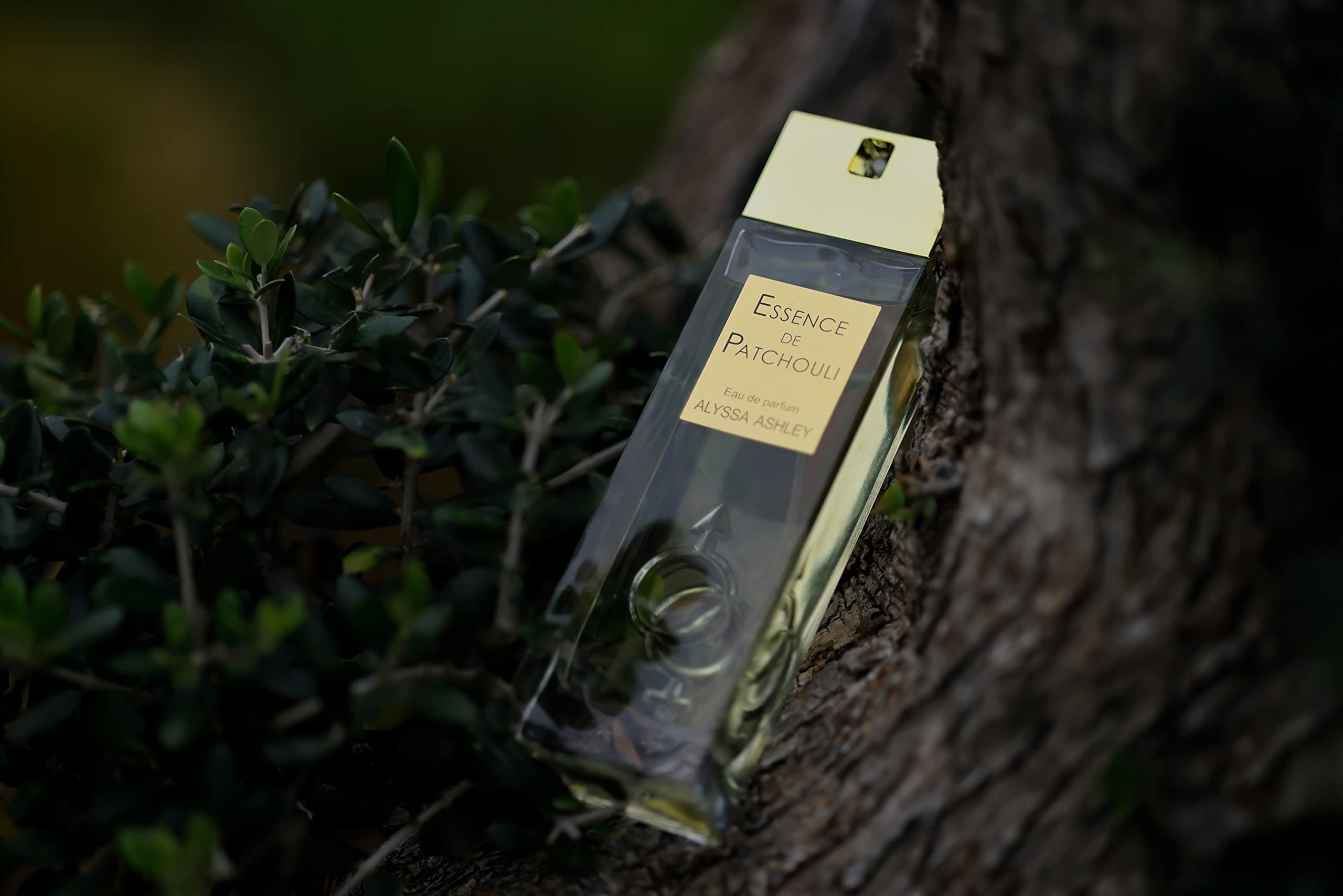 Foto 5 pulgar | Perfume Alyssa Ashley Esencia De Pachulí  Vainilla  30 Ml Edp - Venta Internacional.