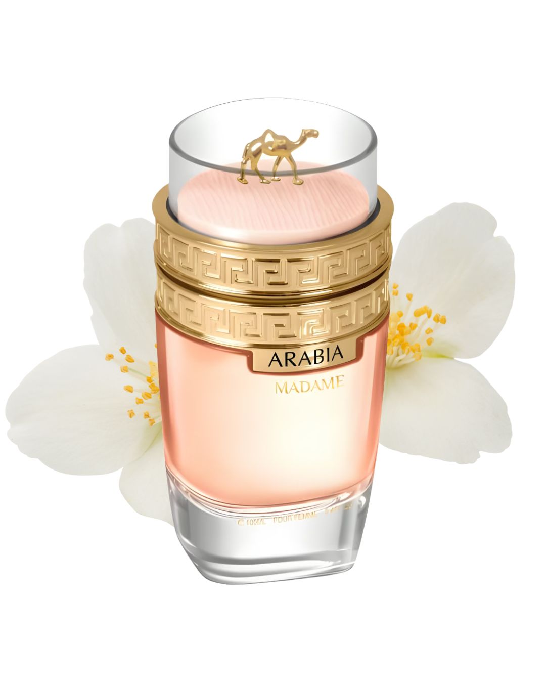 Foto 2 pulgar | Perfume Para Mujer Arabia Madame 100 Ml