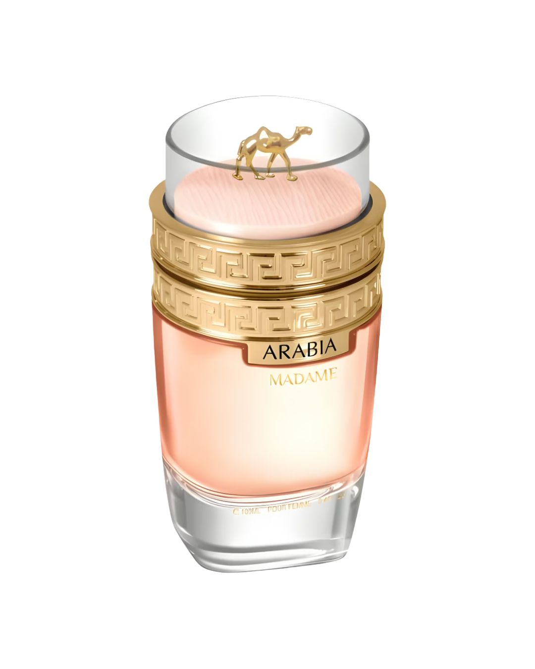 Foto 5 pulgar | Perfume Para Mujer Arabia Madame 100 Ml