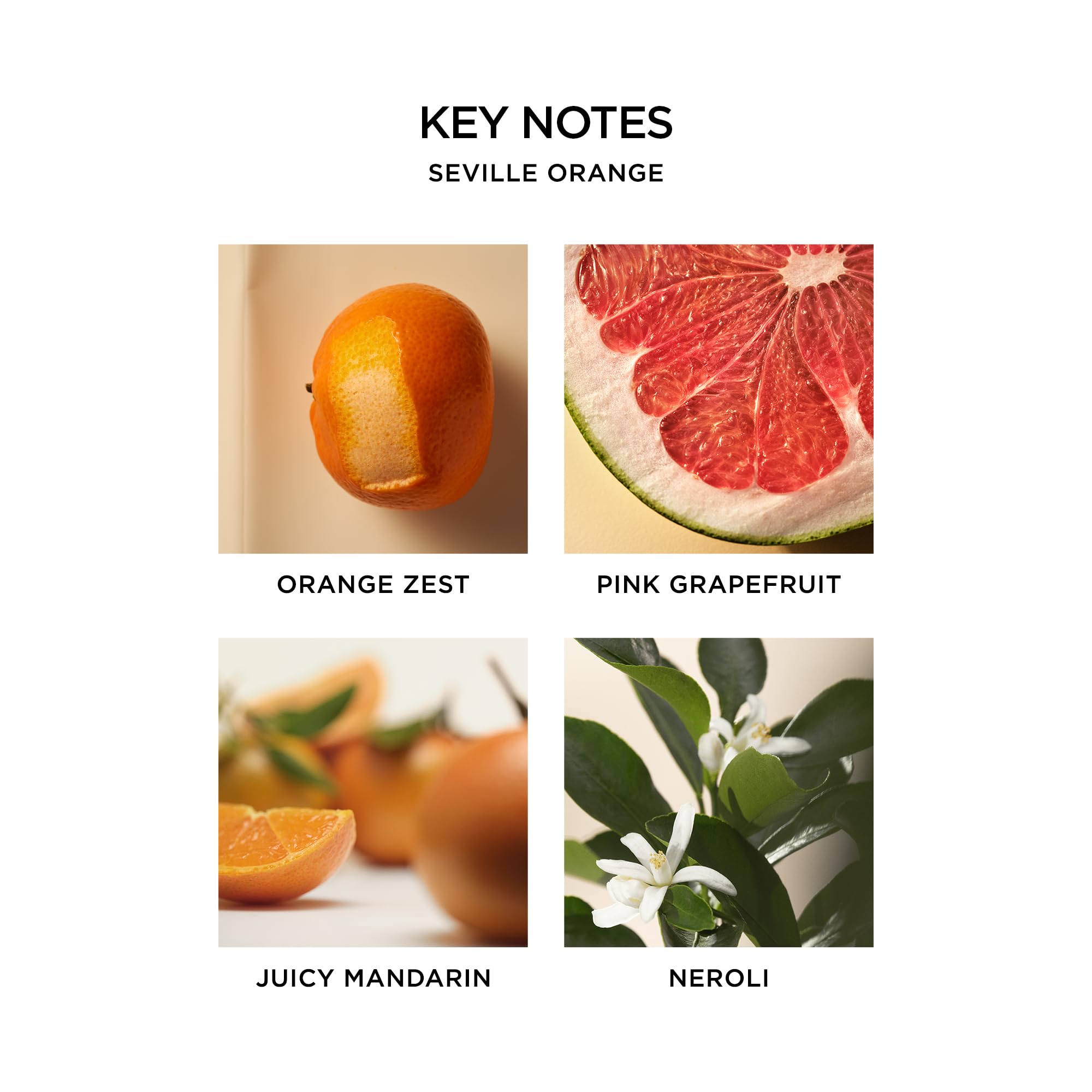 Foto 3 | Aceite De Perfume Nest New York Seville Orange 30 Ml  Vegano Y Libre De Crueldad Animal - Venta Internacional.
