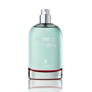 Foto 1 | Agua de Tocador Victorinox Morning Dew Spray 100 ml para Mujer
