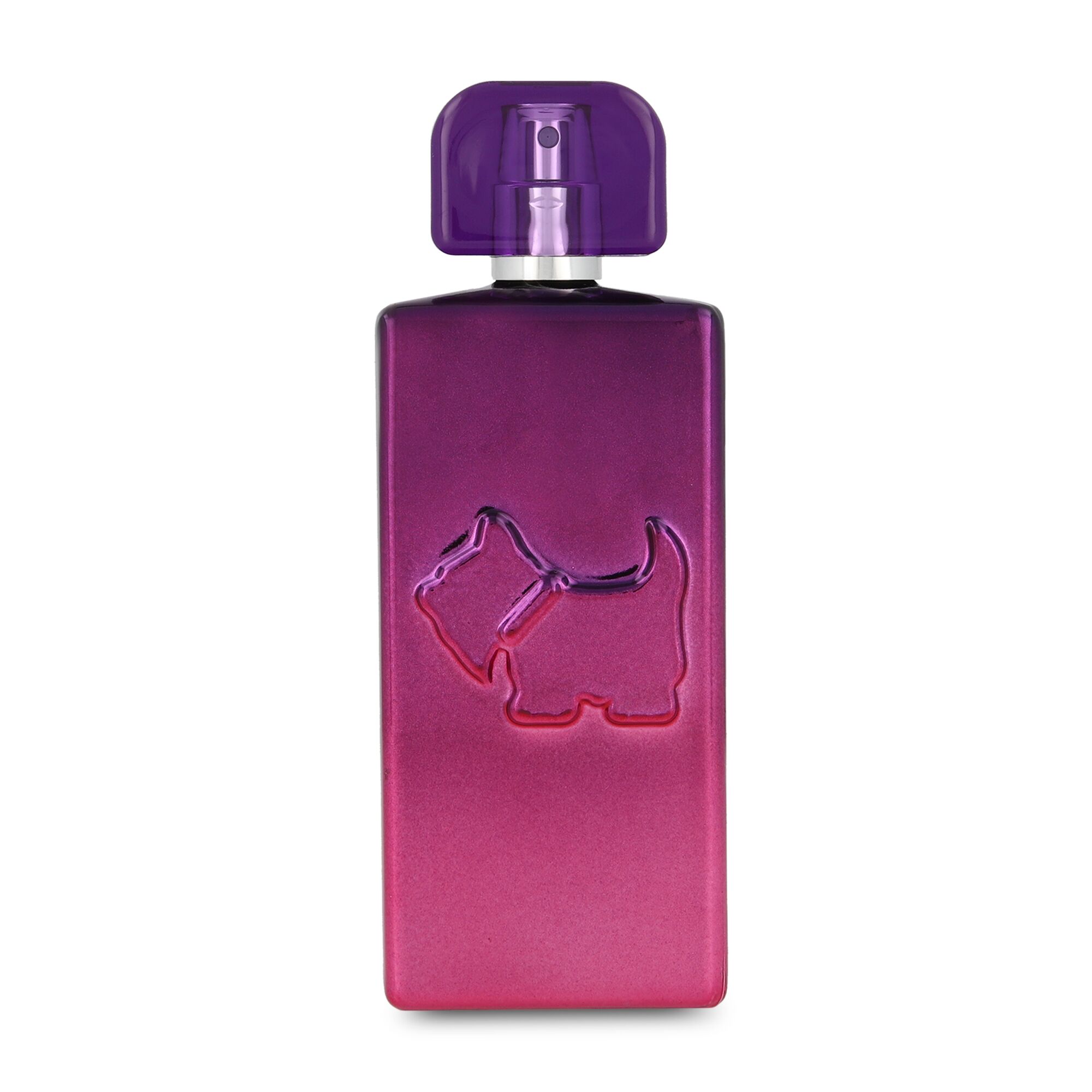 Foto 3 pulgar | Perfume Ferrioni Electric Vibes 100ml Edt