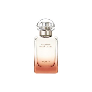 Foto 1 | Perfume Hermes Un Jardin sur la Lagune Eau de Toilette 50 ml Para Hombre - Venta Internacional