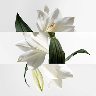 Foto 3 | Perfume Hermes Un Jardin sur la Lagune Eau de Toilette 50 ml Para Hombre - Venta Internacional