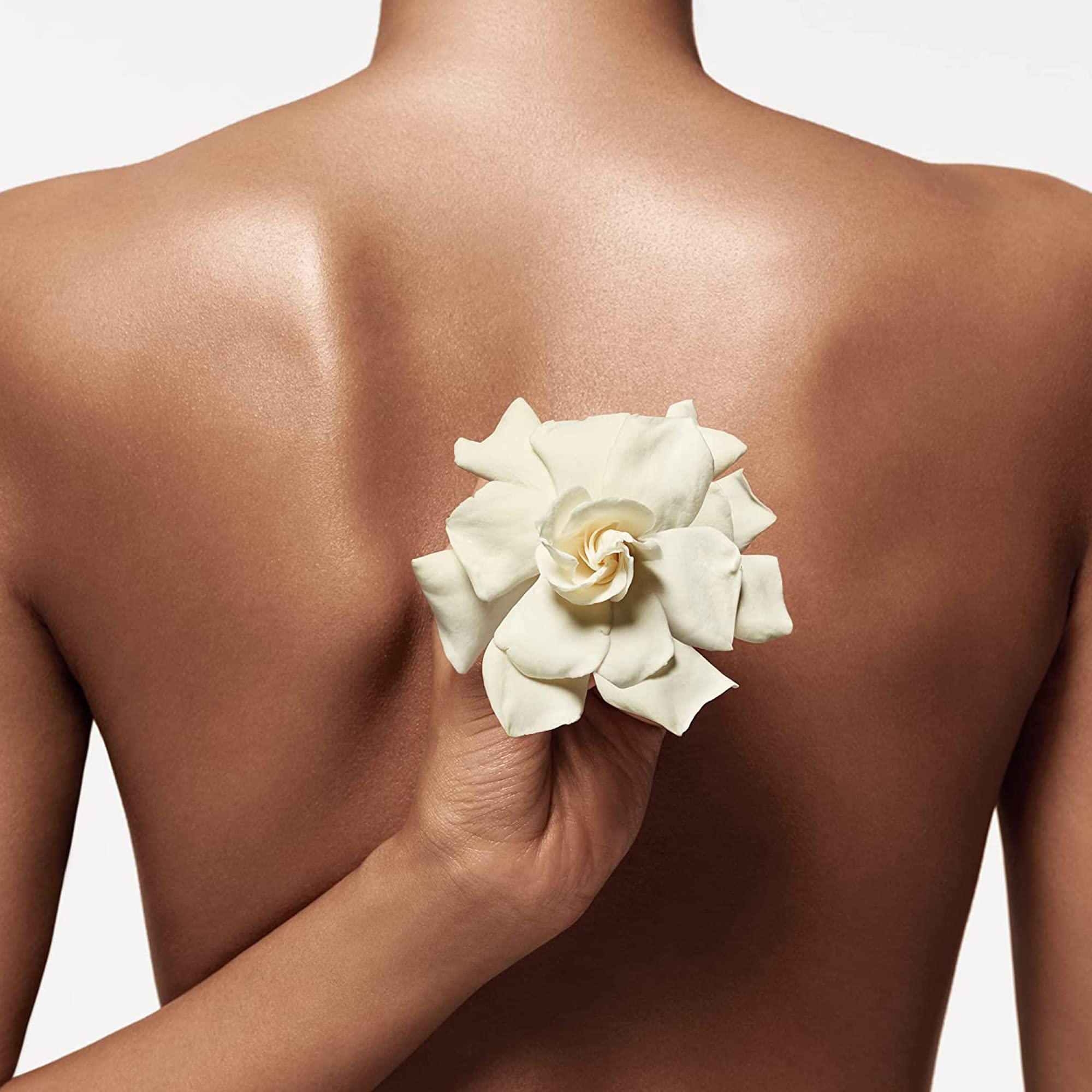 Foto 5 pulgar | Set de Perfume Donna Karan Cashmere Mist 3 Piezas para Mujer-Venta Internacional